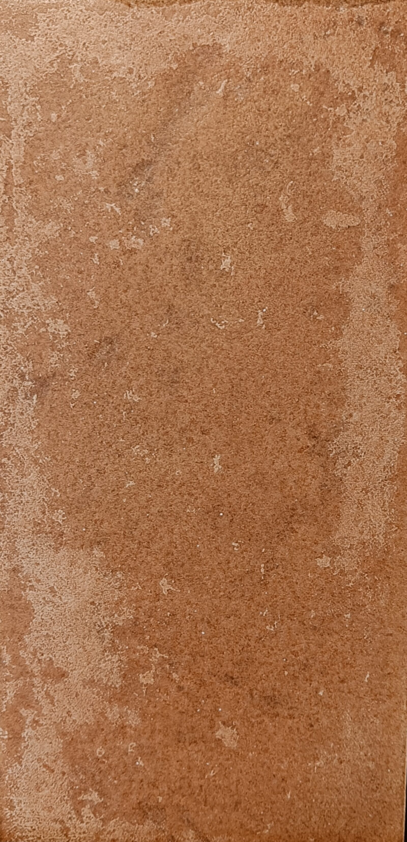 Lot - Tegel Araldica Unicorno 31,7x15,8cm