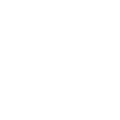 Binnenpleister