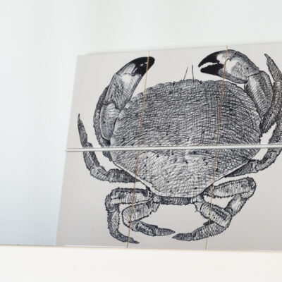 Tegeltableau - Krab